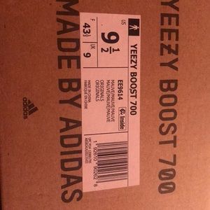 Yeezy  boost 700